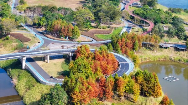 股票配资保证金 火杉映水暖冬时 白鹭岛公园“红”了