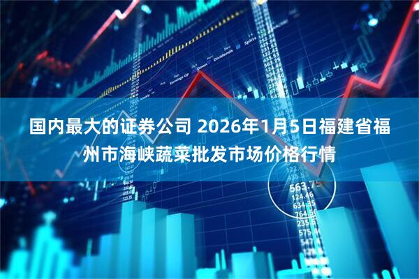国内最大的证券公司 2026年1月5日福建省福州市海峡蔬菜批发市场价格行情